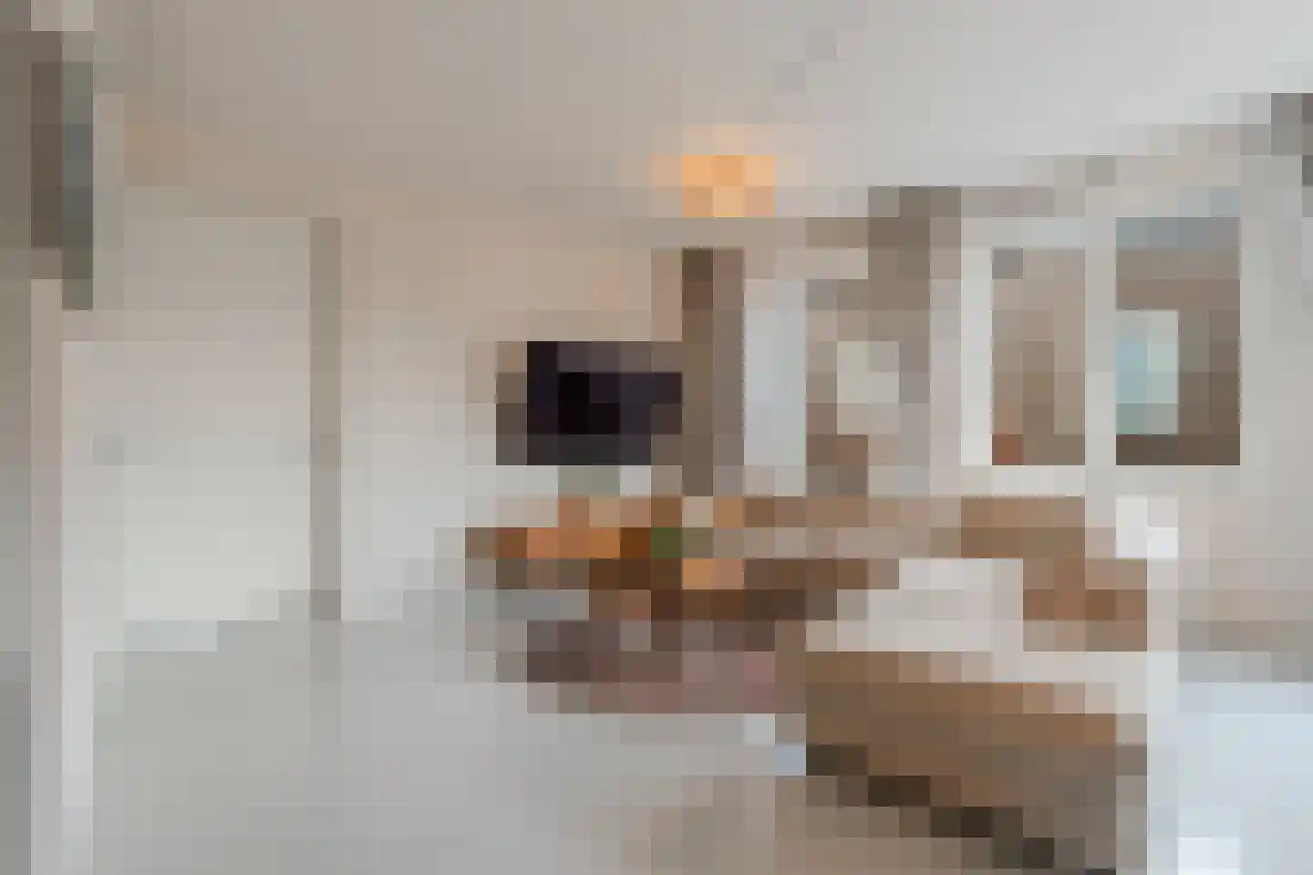Bart van der Leckhof 66 Diemen thumbnail 10