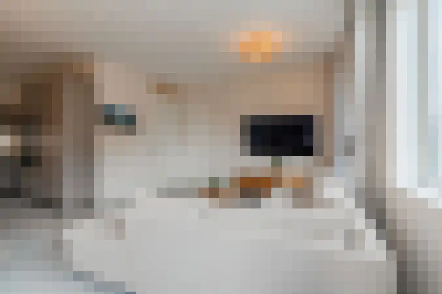 Bart van der Leckhof 66 Diemen thumbnail 11
