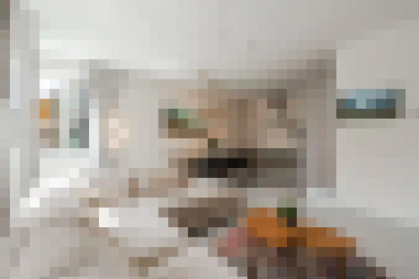 Bart van der Leckhof 66 Diemen thumbnail 15