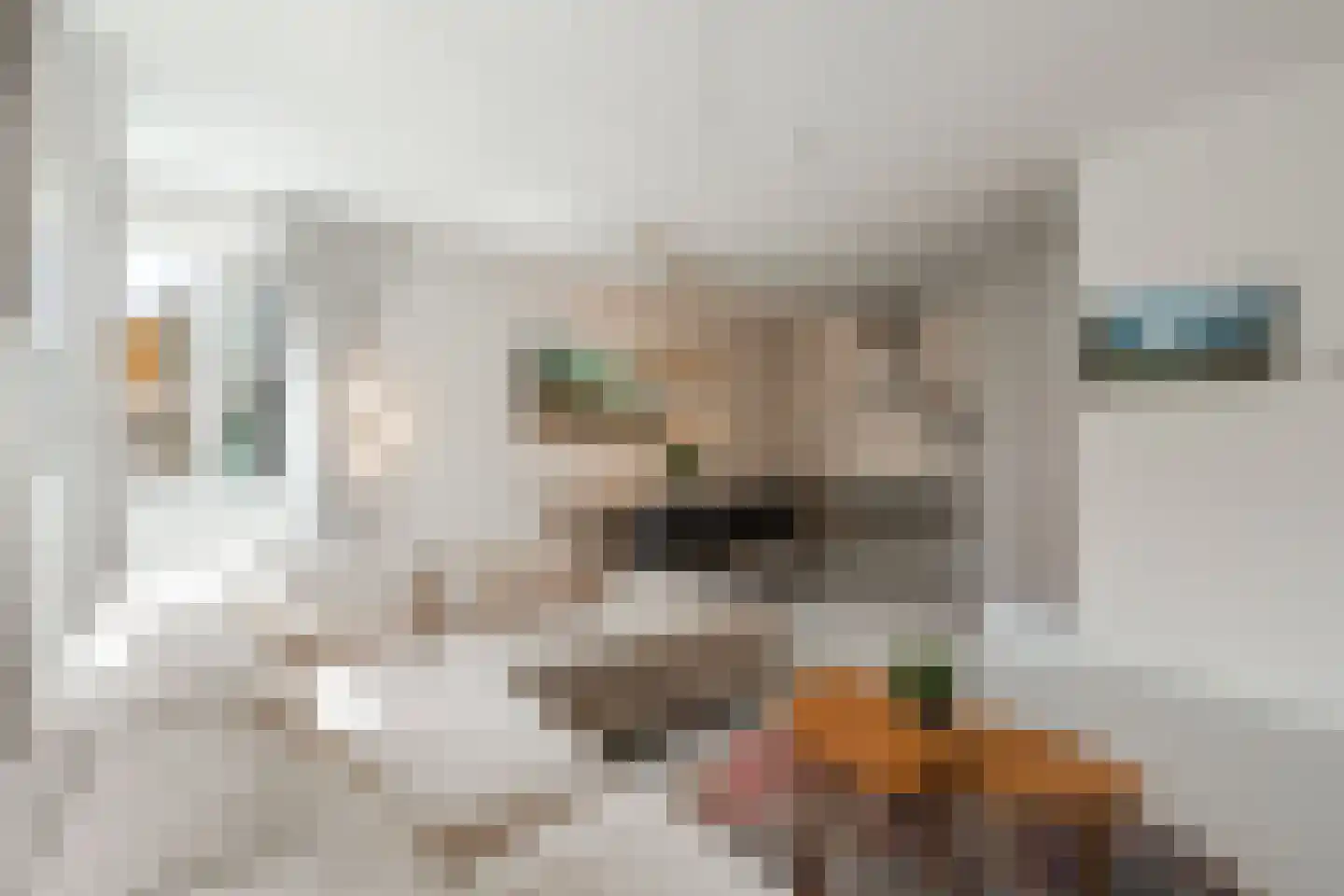Bart van der Leckhof 66 Diemen thumbnail 15