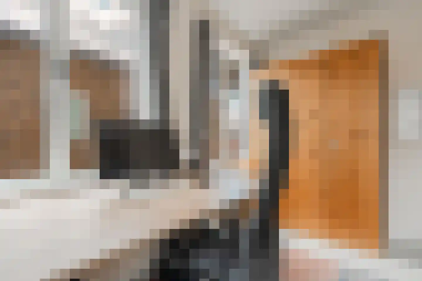 Bart van der Leckhof 66 Diemen thumbnail 36