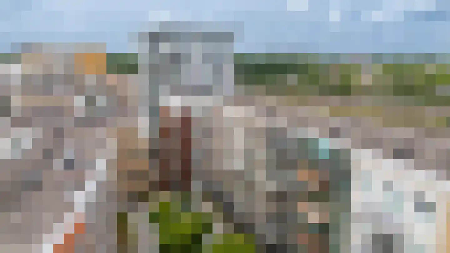Bart van der Leckhof 66 Diemen thumbnail 53