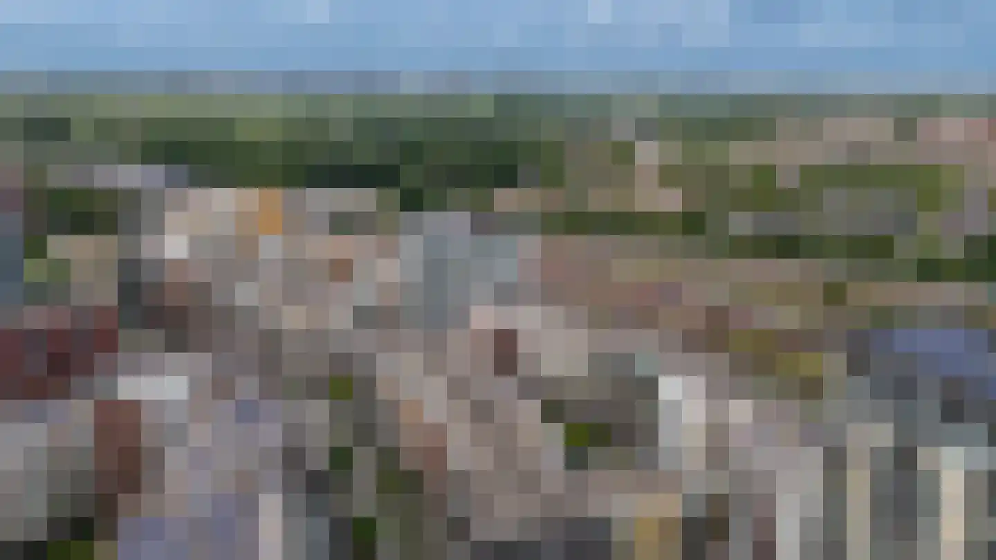 Bart van der Leckhof 66 Diemen thumbnail 54