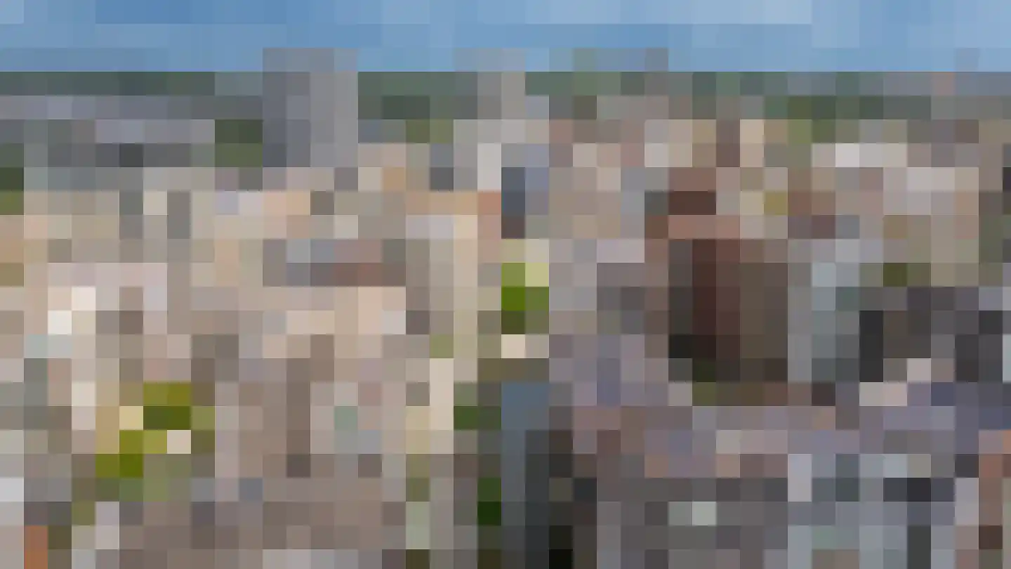 Bart van der Leckhof 66 Diemen thumbnail 56