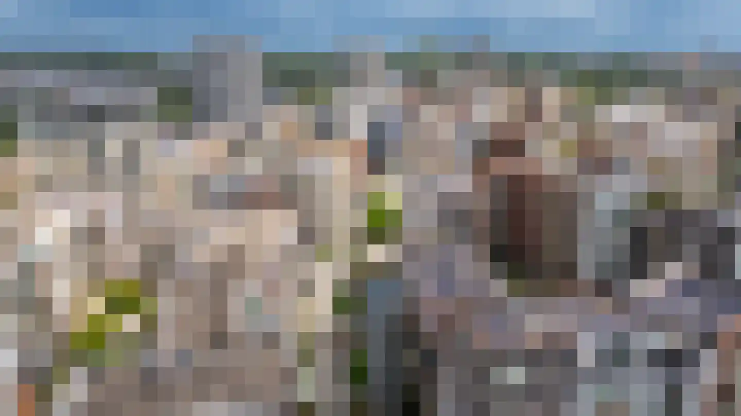 Bart van der Leckhof 66 Diemen thumbnail 56
