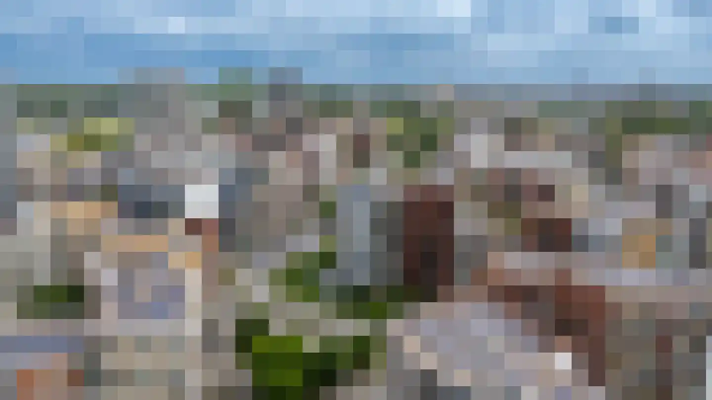 Bart van der Leckhof 66 Diemen thumbnail 57