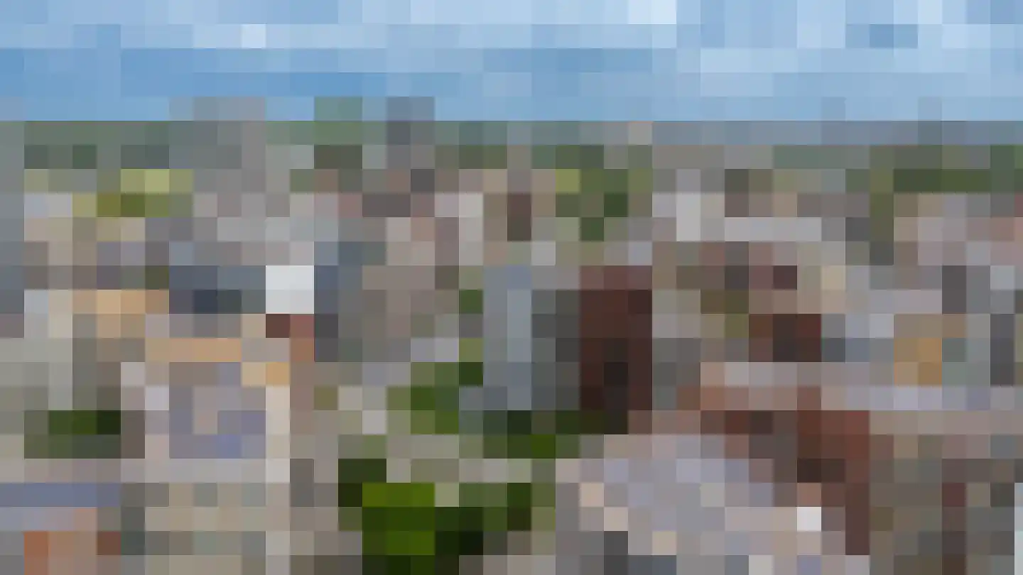 Bart van der Leckhof 66 Diemen thumbnail 57