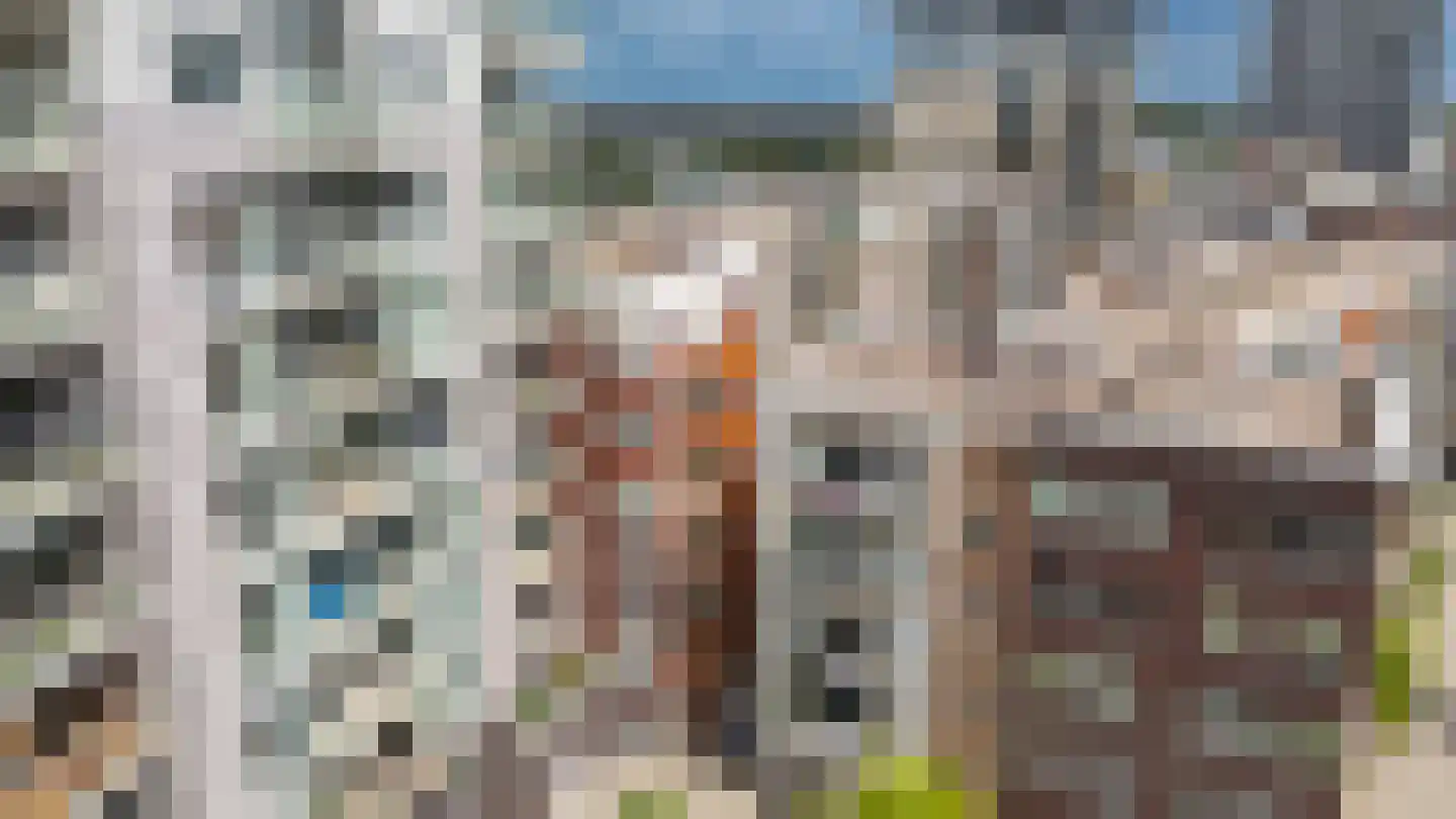 Bart van der Leckhof 66 Diemen thumbnail 7