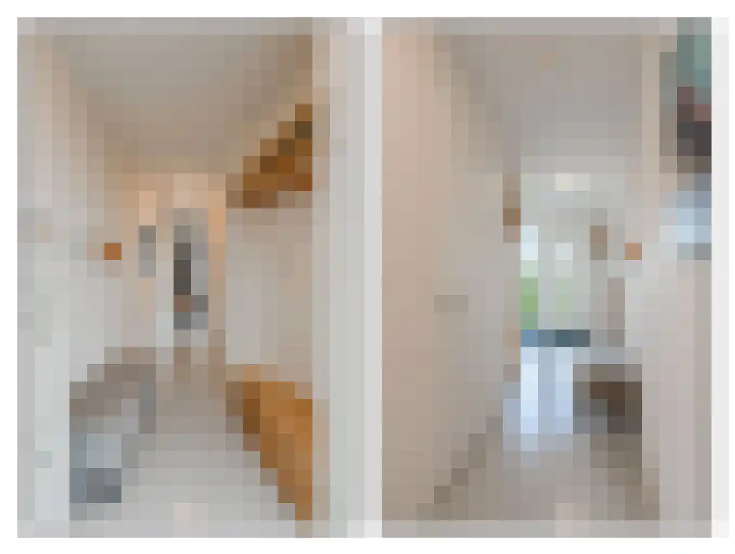 Bart van der Leckhof 66 Diemen thumbnail 8