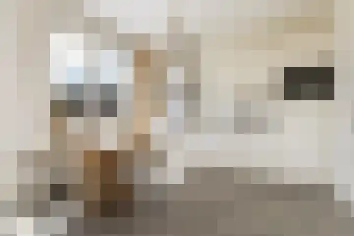 Bart van der Leckhof 76 Diemen thumbnail 12