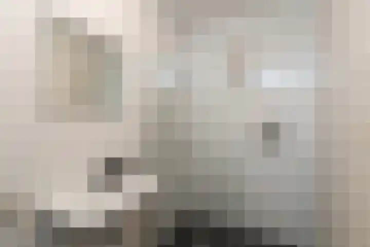 Bart van der Leckhof 76 Diemen thumbnail 18