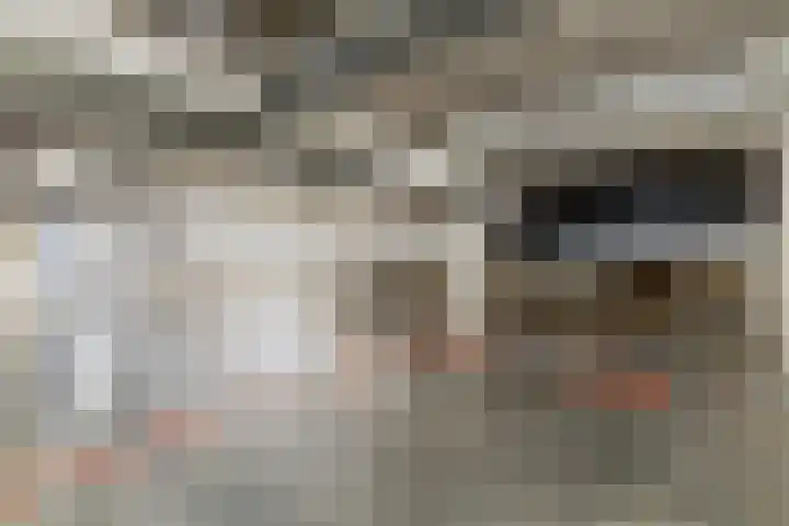 Bart van der Leckhof 76 Diemen thumbnail 26