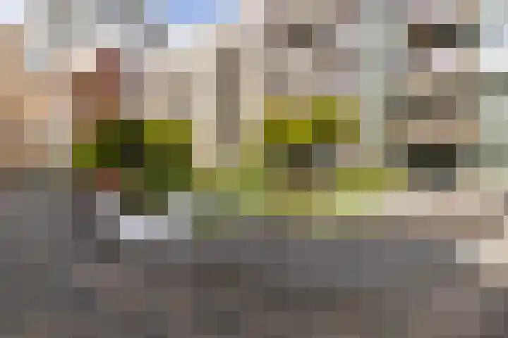 Bart van der Leckhof 76 Diemen thumbnail 27