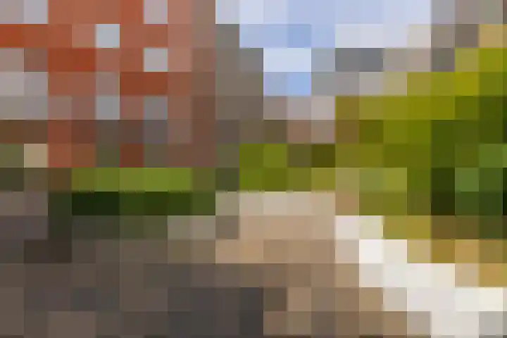 Bart van der Leckhof 76 Diemen thumbnail 28
