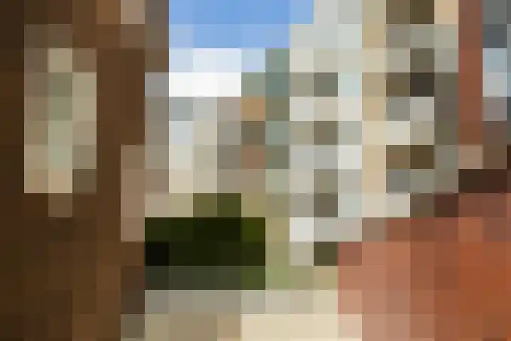Bart van der Leckhof 76 Diemen thumbnail 29