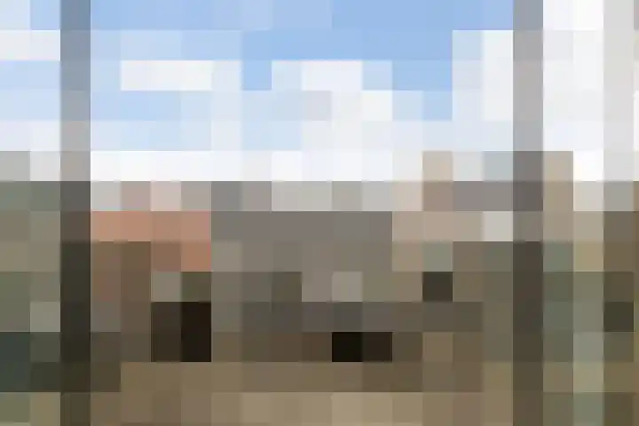Bart van der Leckhof 76 Diemen thumbnail 4