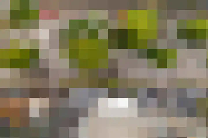 Bart van der Leckhof 76 Diemen thumbnail 6