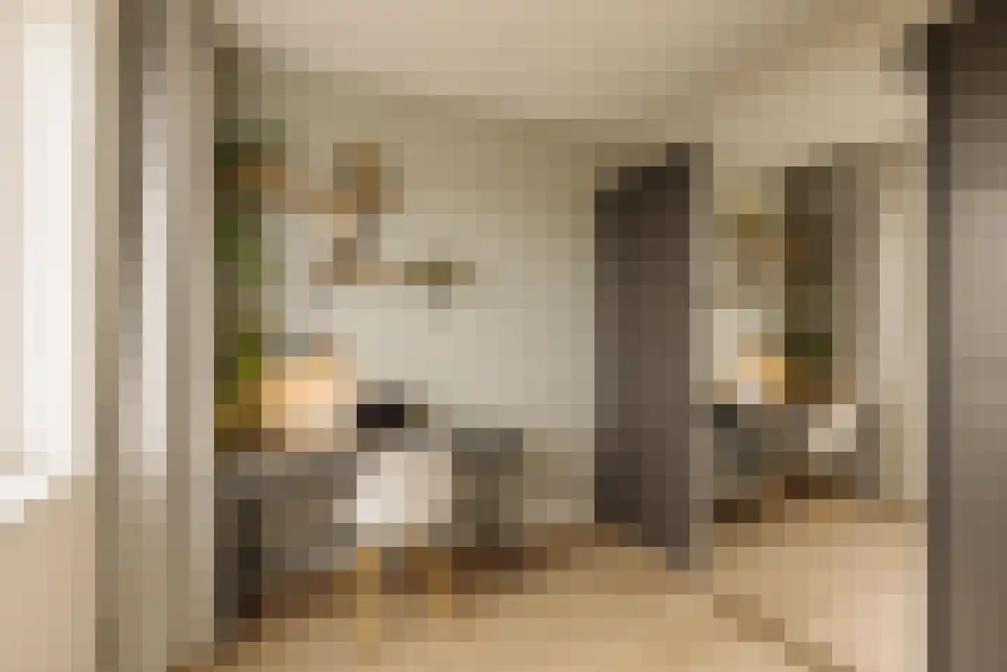 Bart van der Leckhof 80 Diemen thumbnail 16