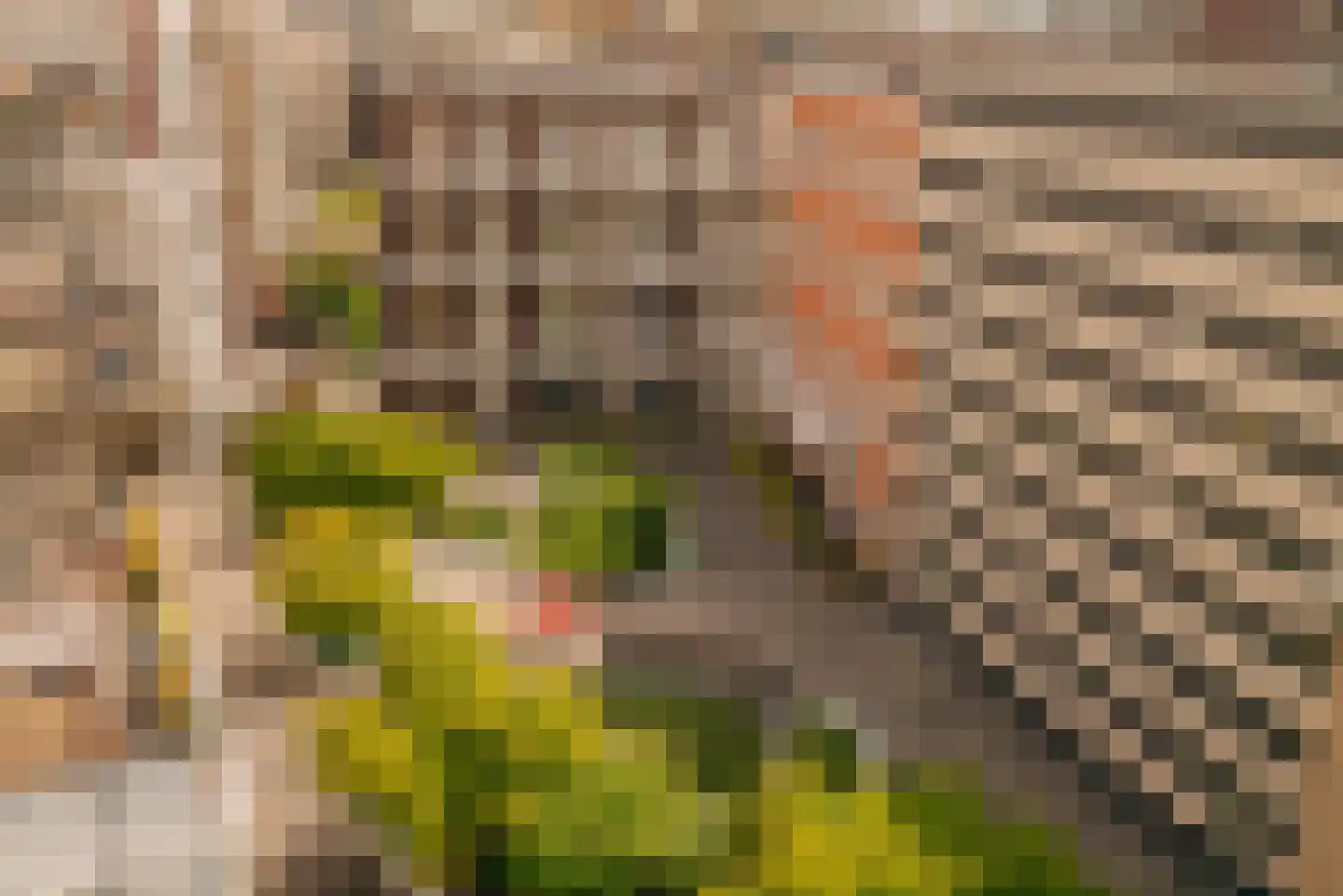 Bart van der Leckhof 80 Diemen thumbnail 6