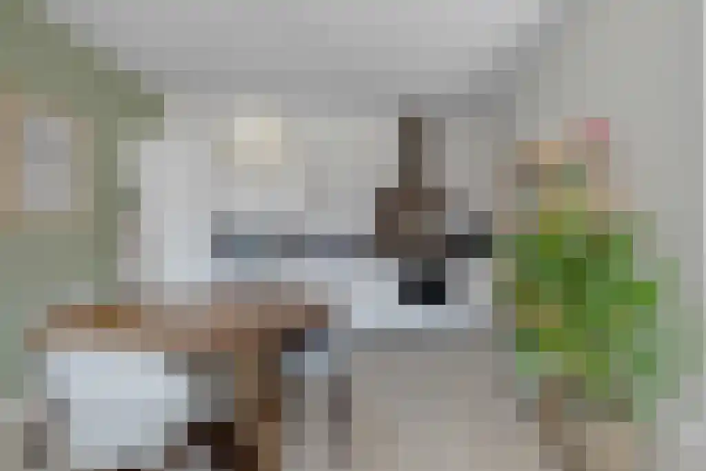 Bart van der Leckhof 82 Diemen thumbnail 4