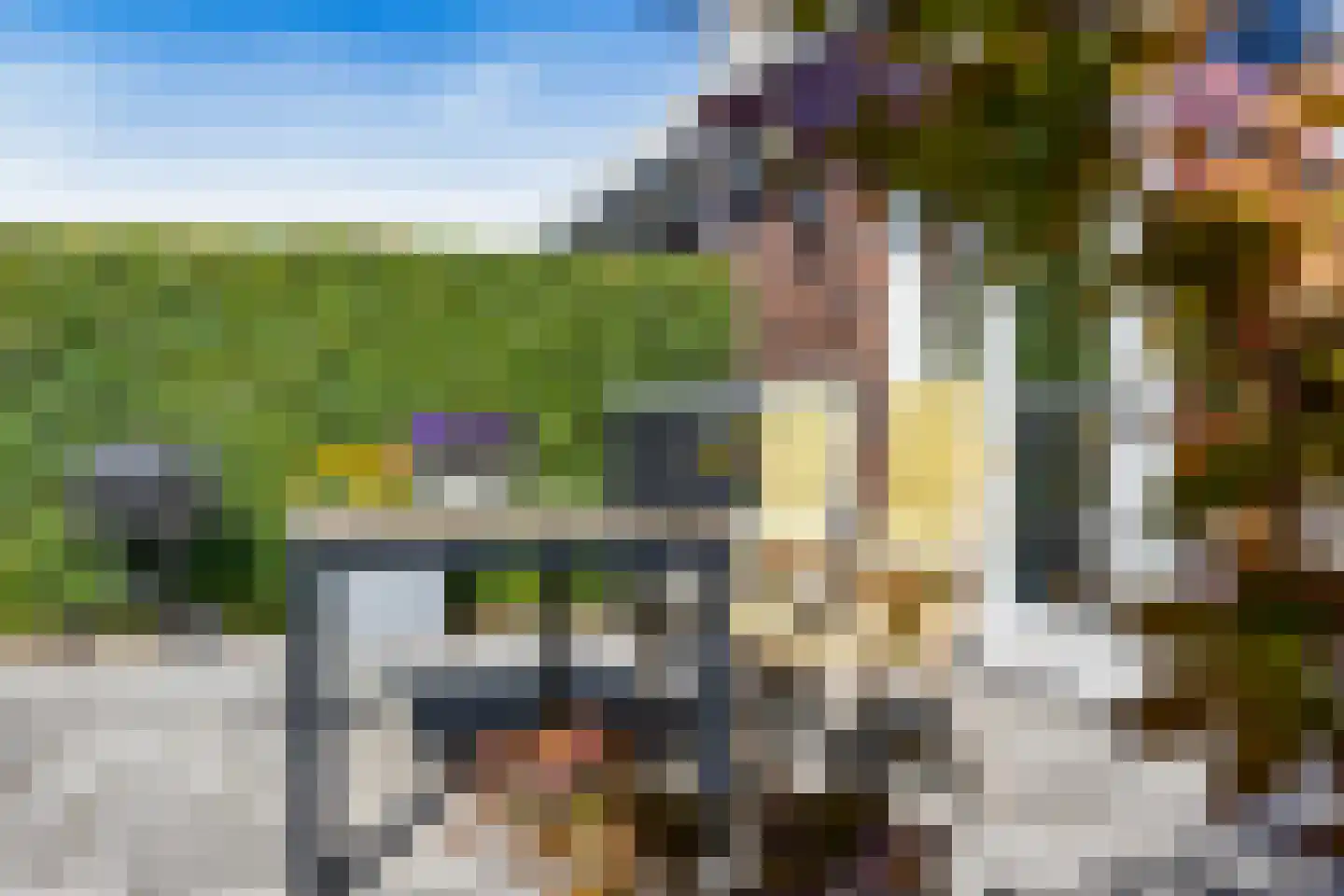 Bart van der Lecklaan 11 Blaricum thumbnail 41