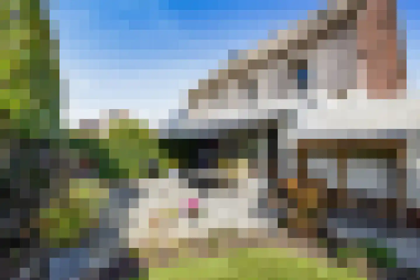 Bart van der Lecklaan 11 Blaricum thumbnail 46