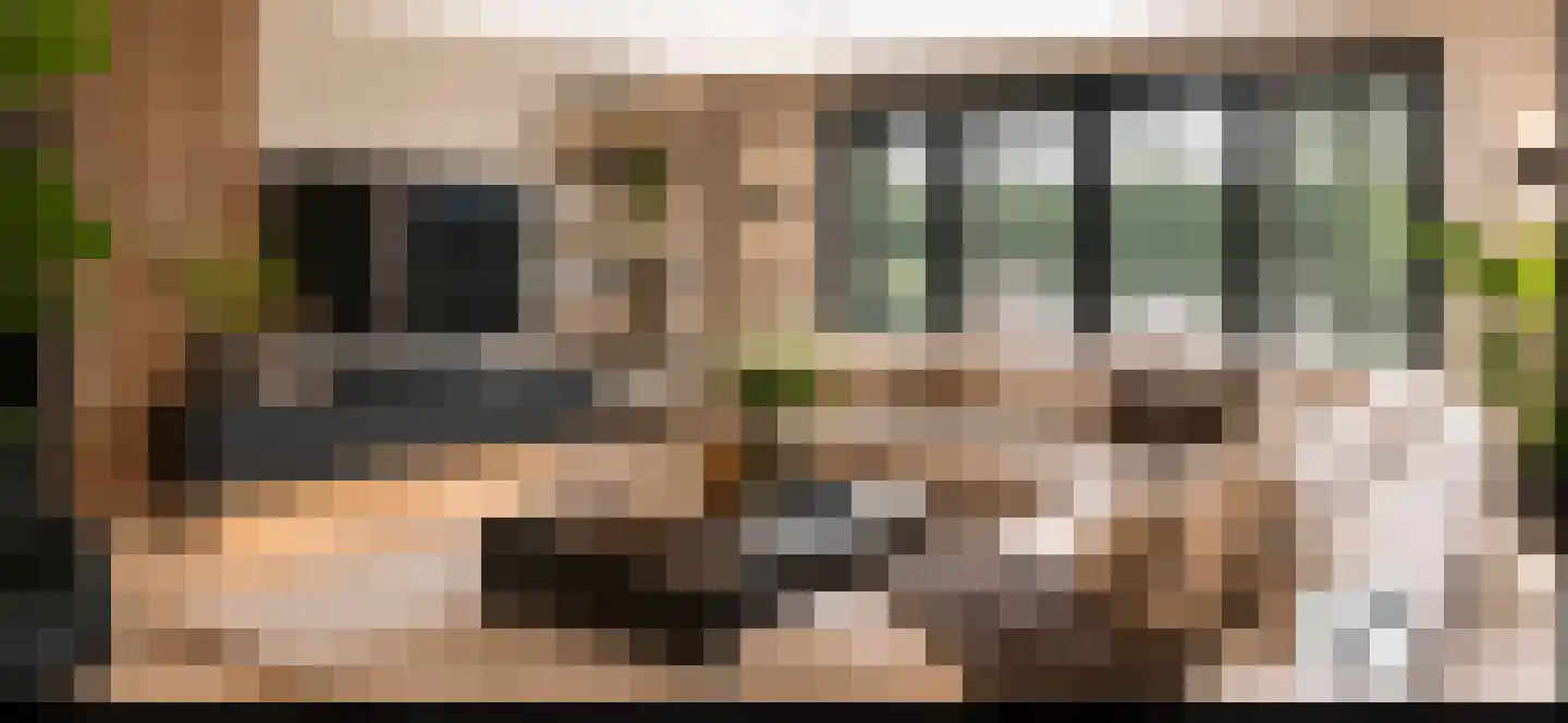 Bart van der Lecklaan 11 Blaricum thumbnail 5