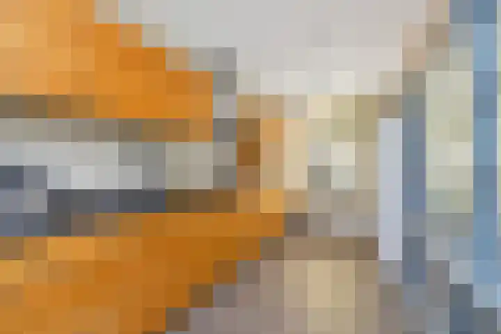 Bart van der Leckplantsoen 19 Amsterdam thumbnail 10