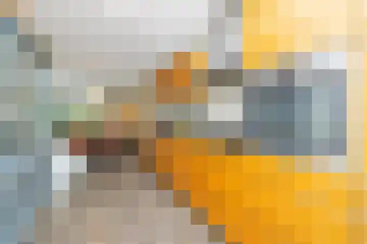 Bart van der Leckplantsoen 19 Amsterdam thumbnail 12