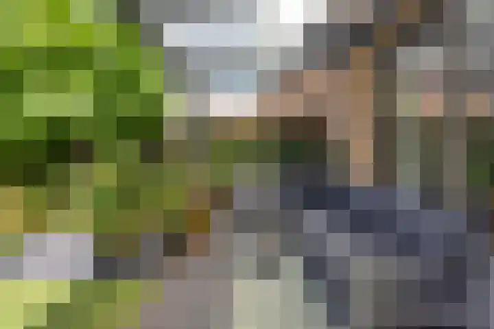 Bart van der Leckplantsoen 19 Amsterdam thumbnail 14