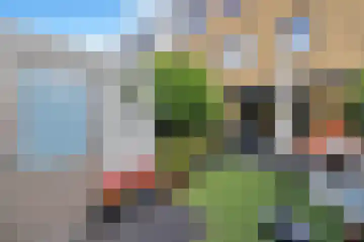 Bart van der Leckplantsoen 19 Amsterdam thumbnail 16