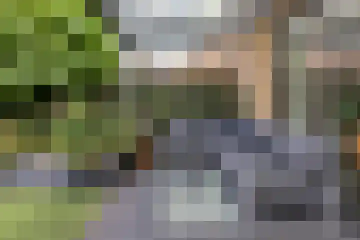 Bart van der Leckplantsoen 19 Amsterdam thumbnail 18