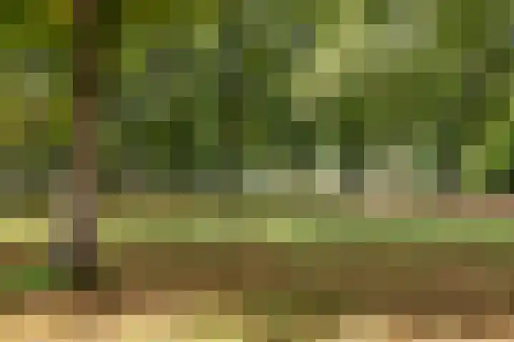 Bart van der Leckplantsoen 19 Amsterdam thumbnail 52