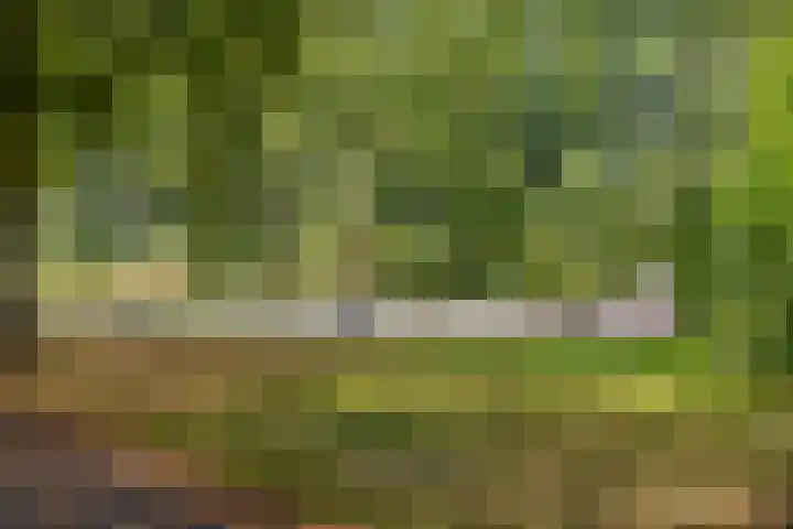 Bart van der Leckplantsoen 19 Amsterdam thumbnail 55