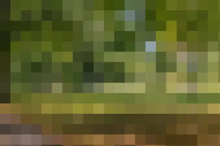 Bart van der Leckplantsoen 19 Amsterdam thumbnail 56
