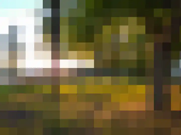 Bart van der Leckplantsoen 19 Amsterdam thumbnail 57