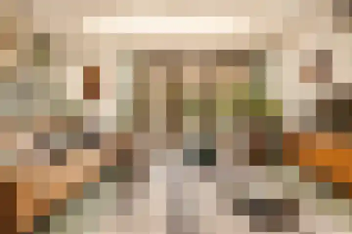 Bart van der Leckplantsoen 33 Amsterdam thumbnail 11