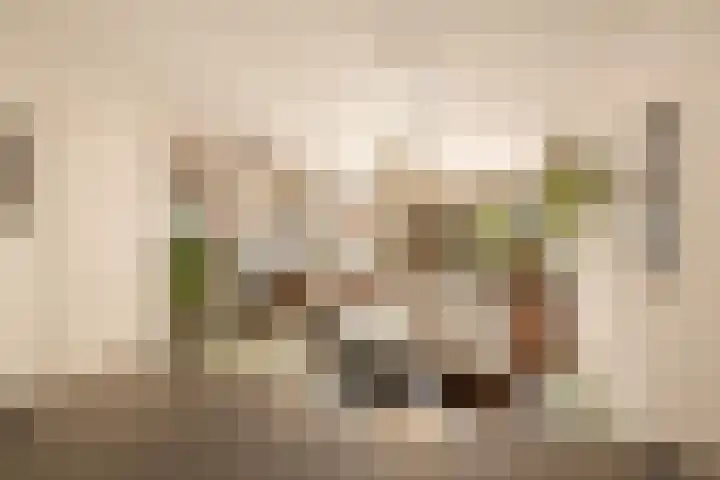 Bart van der Leckplantsoen 33 Amsterdam thumbnail 17