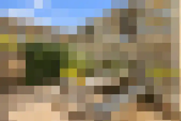 Bart van der Leckplantsoen 33 Amsterdam thumbnail 18