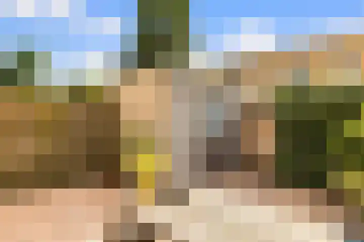 Bart van der Leckplantsoen 33 Amsterdam thumbnail 20