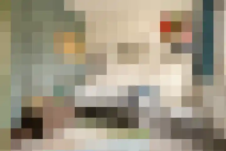 Bart van der Leckplantsoen 33 Amsterdam thumbnail 32