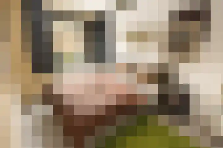 Bart van der Leckplantsoen 33 Amsterdam thumbnail 56