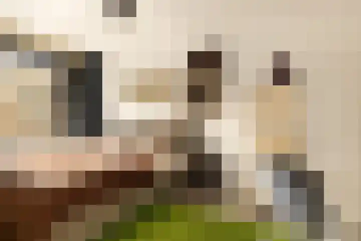 Bart van der Leckplantsoen 33 Amsterdam thumbnail 57