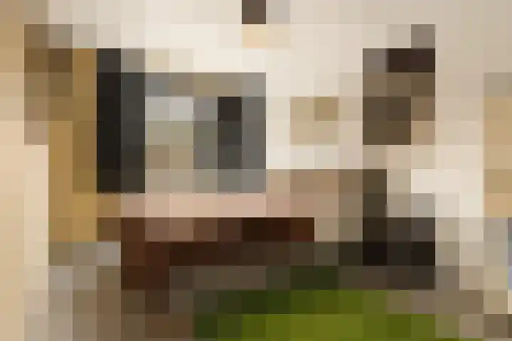 Bart van der Leckplantsoen 33 Amsterdam thumbnail 60