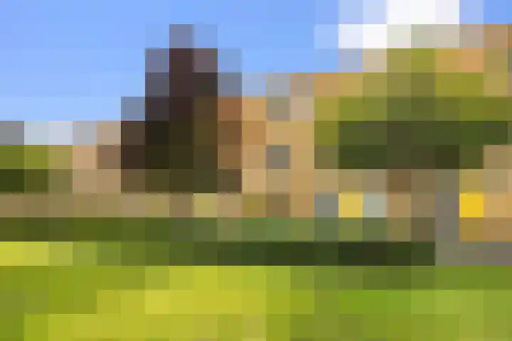 Bart van der Leckplantsoen 33 Amsterdam thumbnail 64