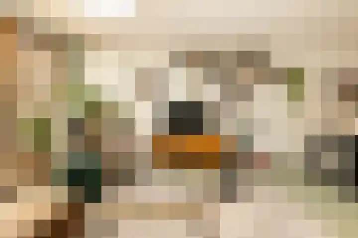 Bart van der Leckplantsoen 33 Amsterdam thumbnail 7