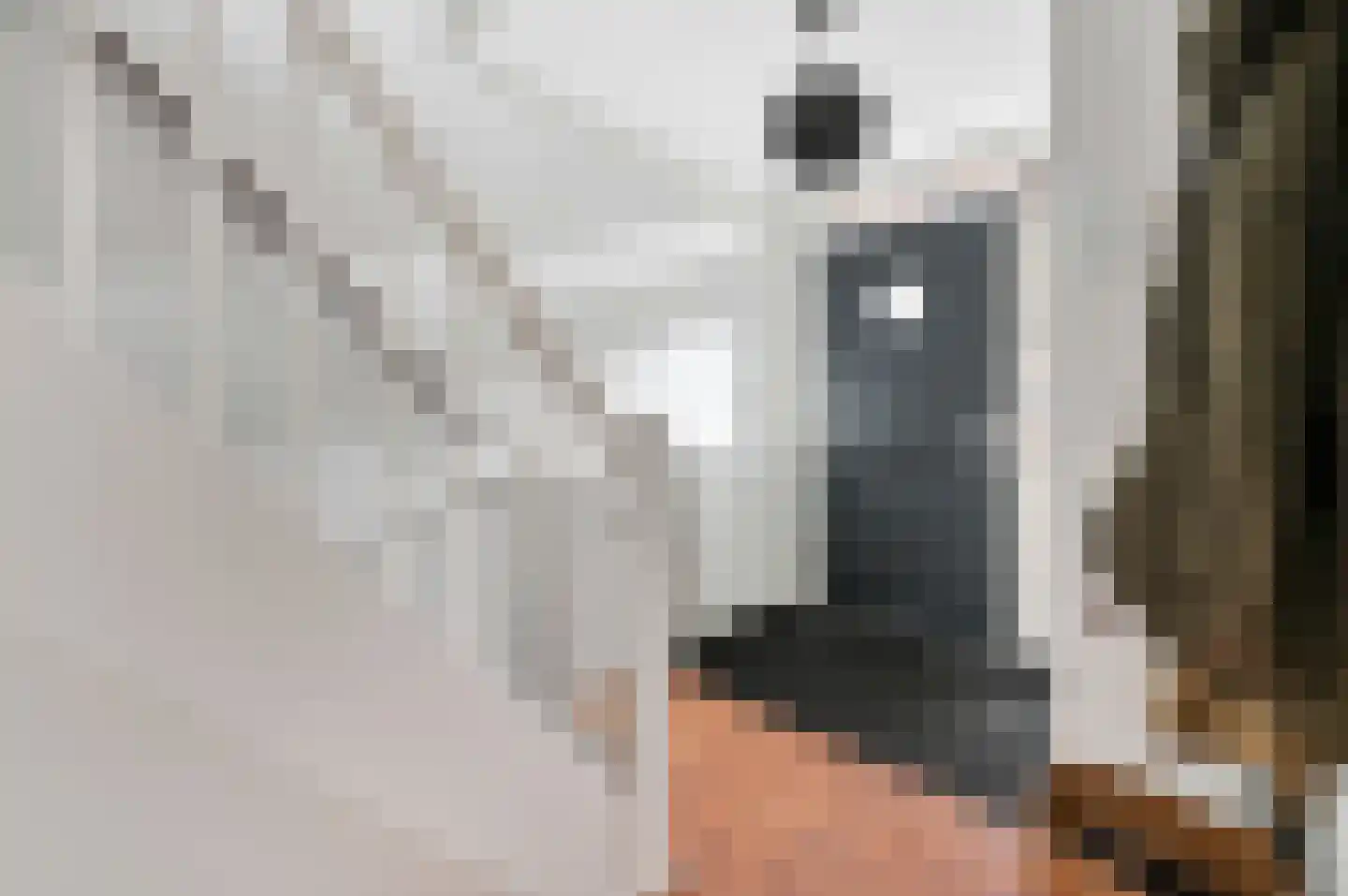 Bart van der Leckstraat 19 Rotterdam thumbnail 10