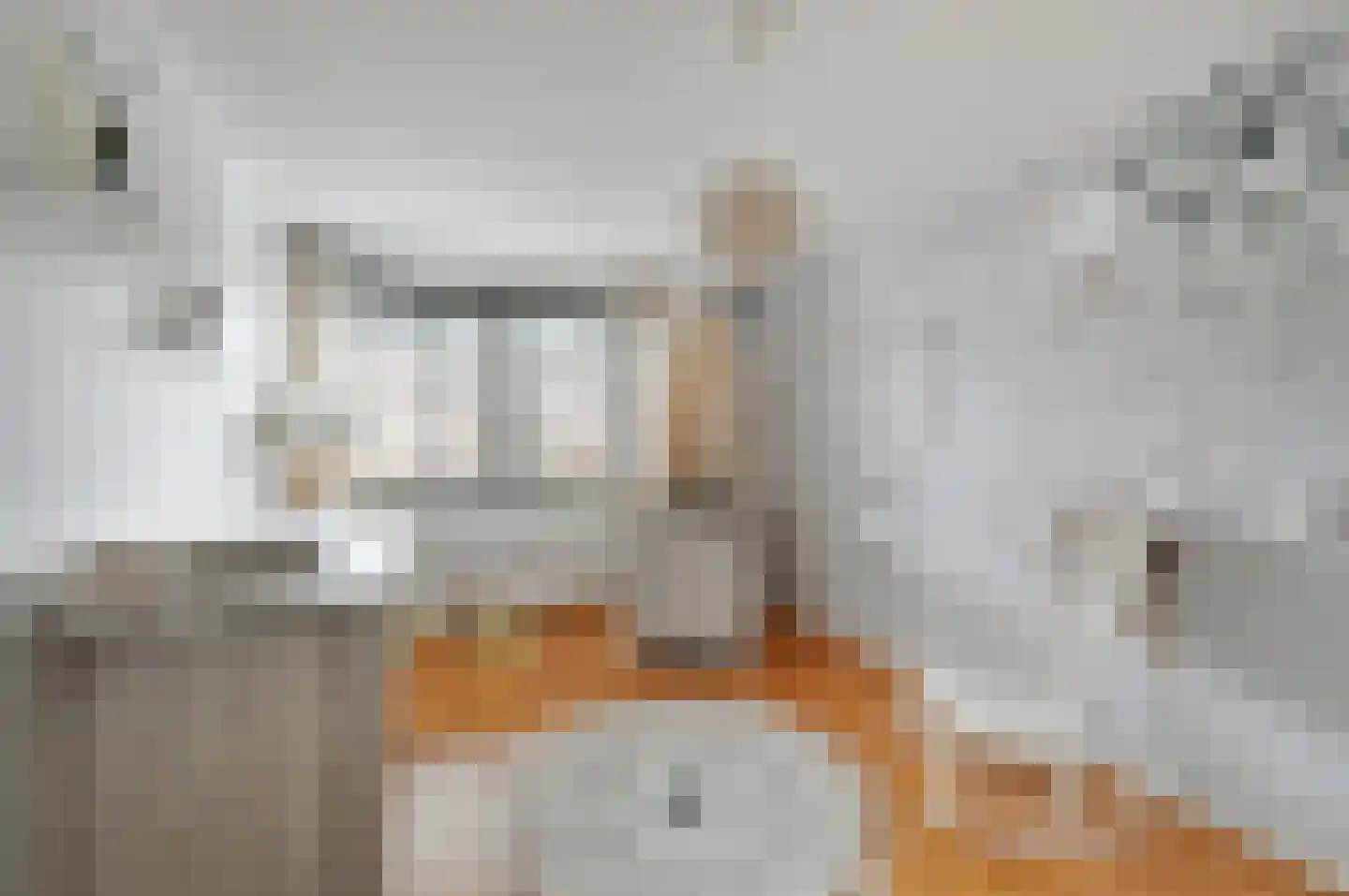 Bart van der Leckstraat 19 Rotterdam thumbnail 22