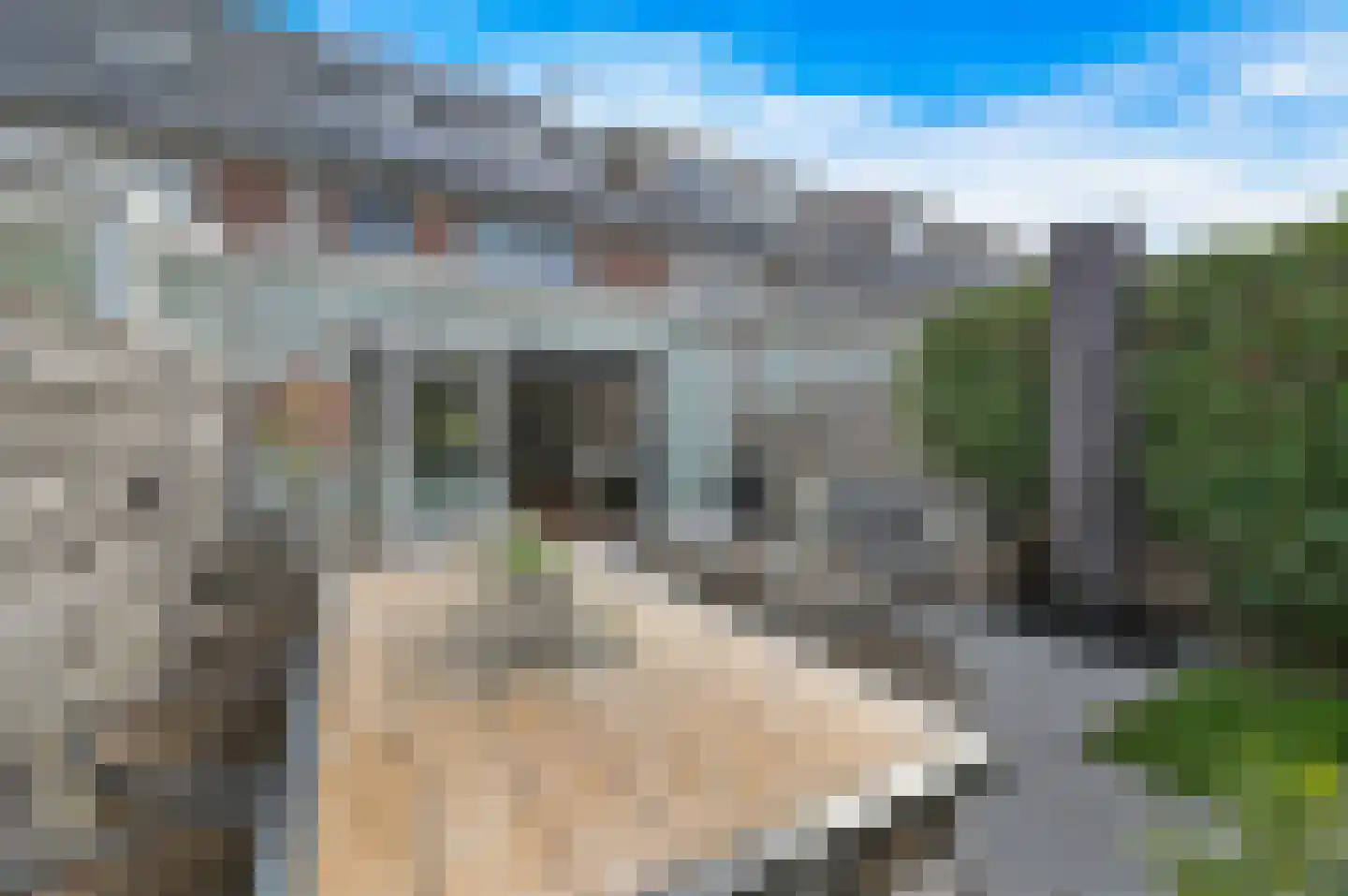 Bart van der Leckstraat 19 Rotterdam thumbnail 30