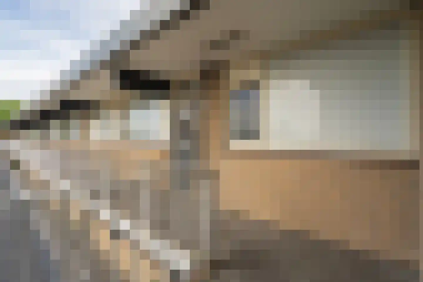Bart van Peltplein 21 Tilburg thumbnail 11